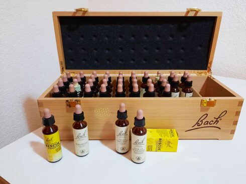 Bachblüten Sortiment (c) Klein Karin