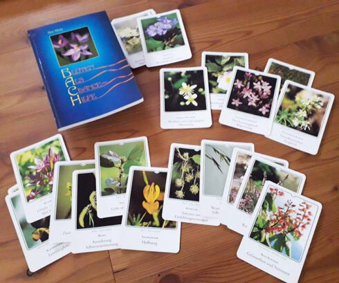 Bachblüten Karten (c) Klein Karin