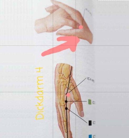 Meridiane (c) Klein Karin